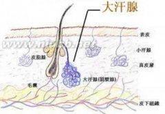 造成腋臭这种疾病出现的因素有哪些